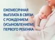 Ежемесячная выплата в связи с рождением (усыновлением)  первого ребенка