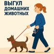 Правила выгула домашних животных