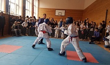 Открытый турнир по тхэквон-до (ИТФ), памяти Героя России А.Р. Савченко