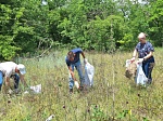 В рамках ежегодной краевой экологической акции сотрудники РРЦ и РИАЦ приняли участие в субботнике