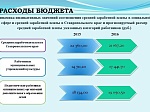 Бюджет Шпаковского муниципального района на 2016 