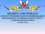 Исполнение бюджета Шпаковского муниципального округа Ставропольского края за 2021 год