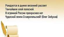 Виртуальная выставка детских рисунков «Моя родина – Ставрополье!» приуроченная ко Дню Ставропольского края и Шпаковского муниципального округа