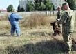 Определились лучшие кинологи Северо-Кавказского округа Росгвардии