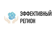 Эффективный регион